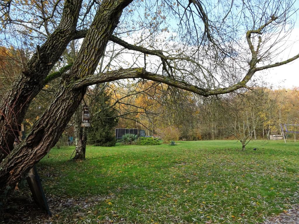 Les Chaumieres Du Chene Hotell Pouillé Exteriör bild