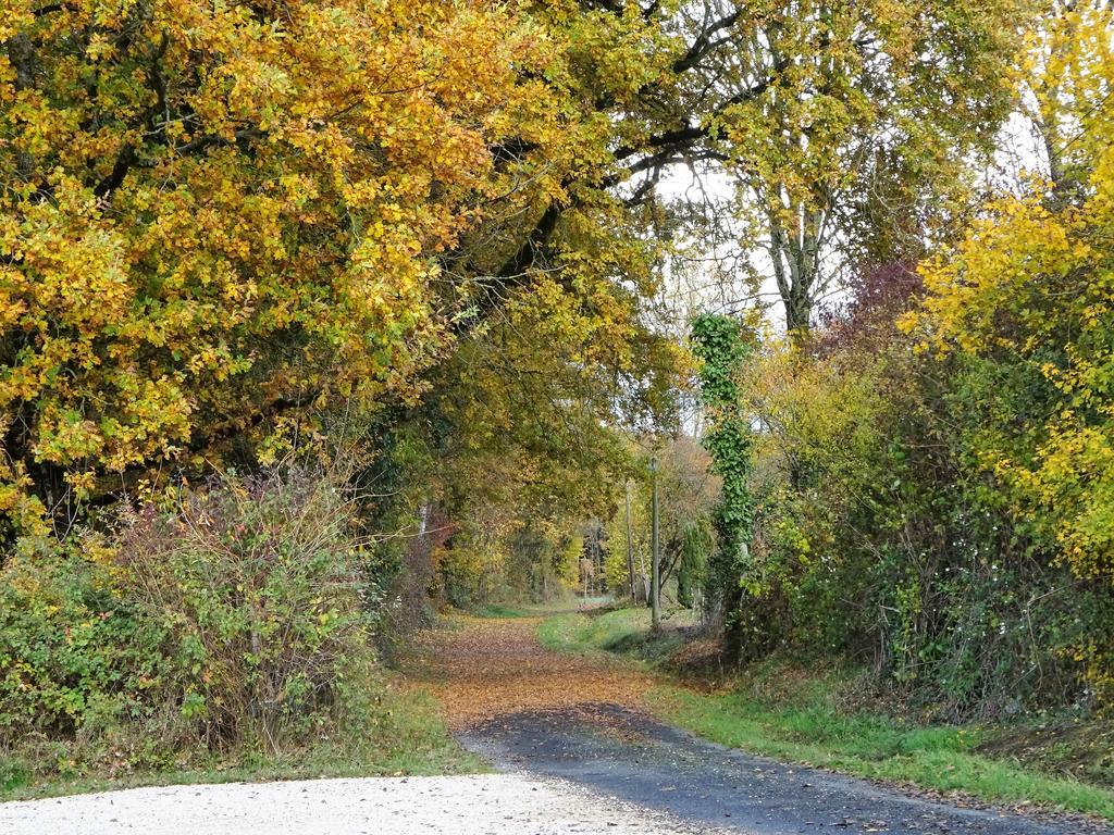 Les Chaumieres Du Chene Hotell Pouillé Exteriör bild